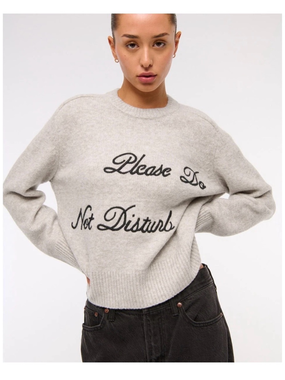 Abercrombie & Fitch  'Please Do Not Disturb' Crewneck Sweater -Small